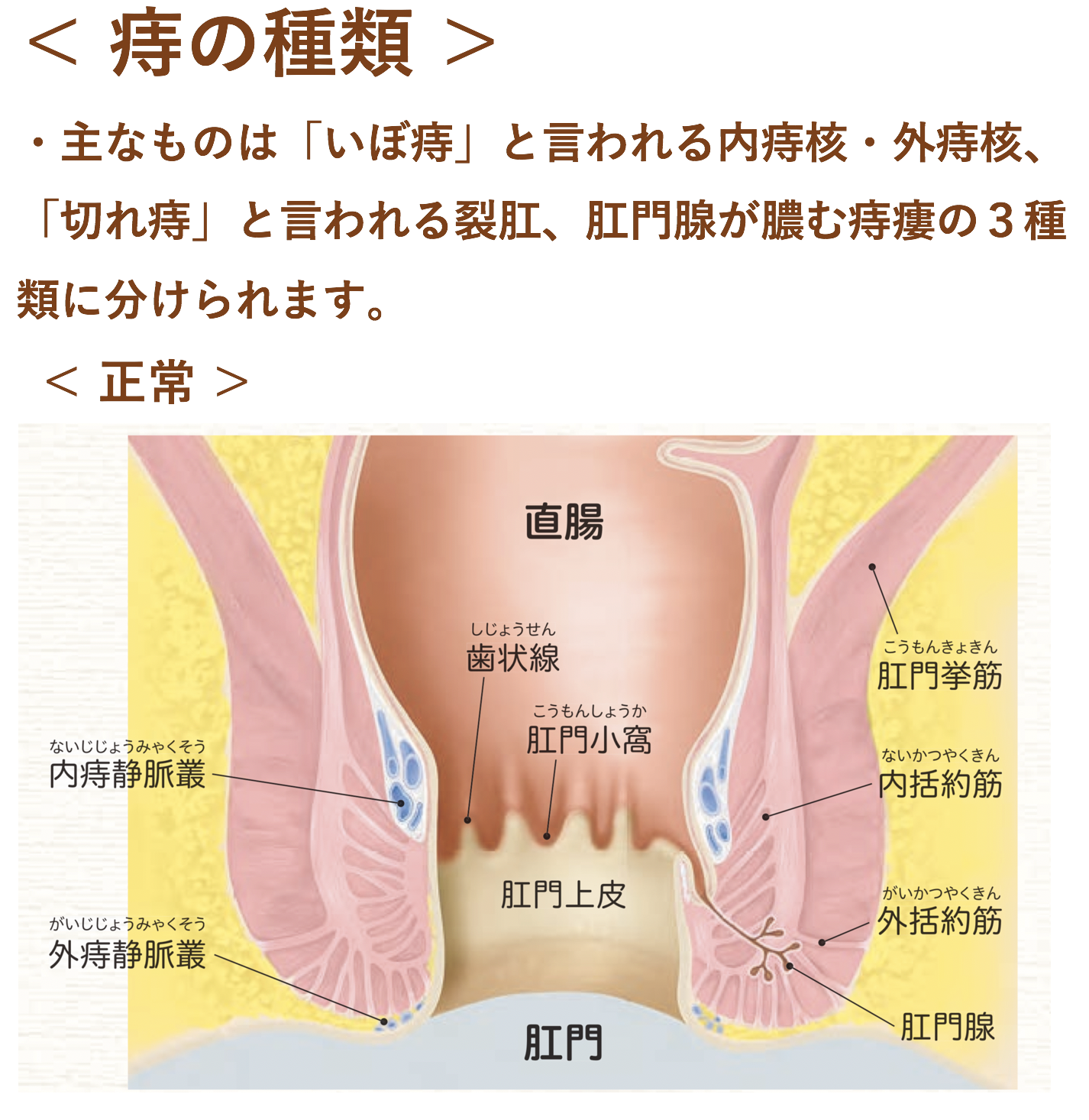 肛門の疾患 にしだ 内科 外科クリニック